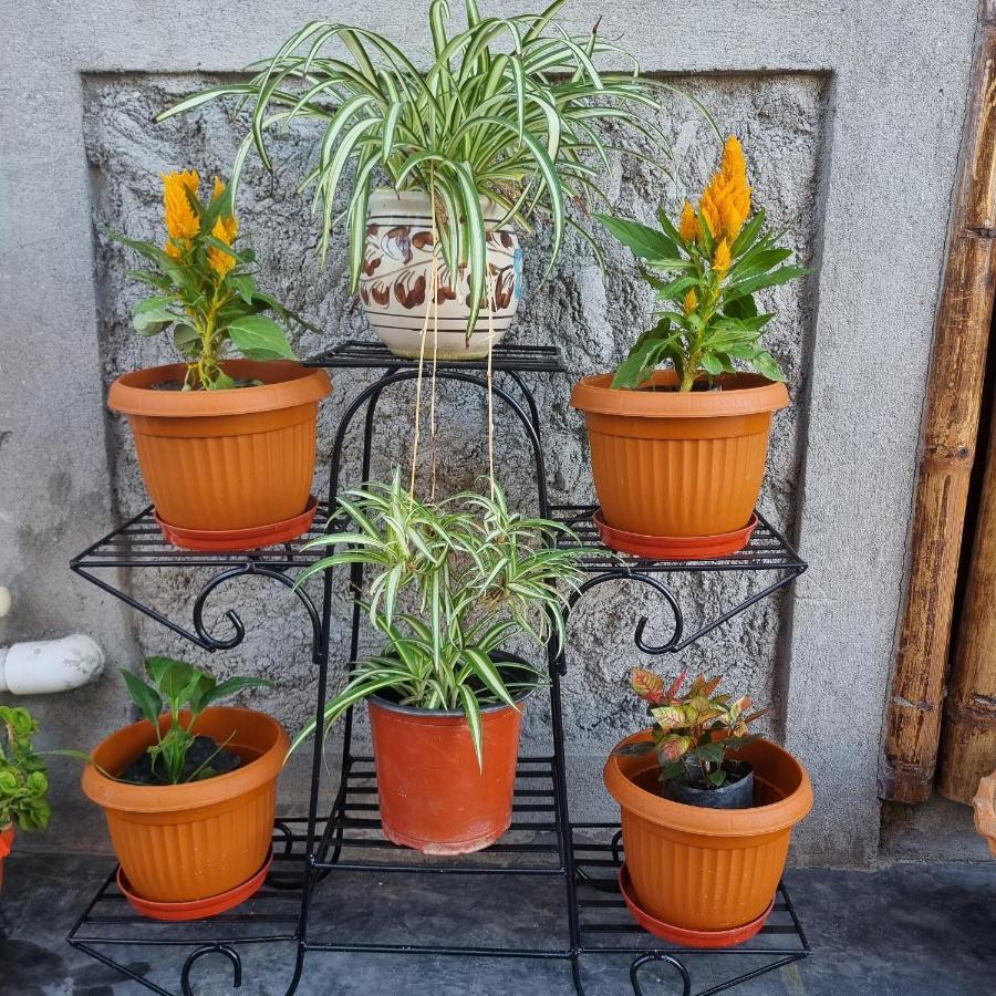 Alohi The Terrace Homestay Tezpur 외부 사진